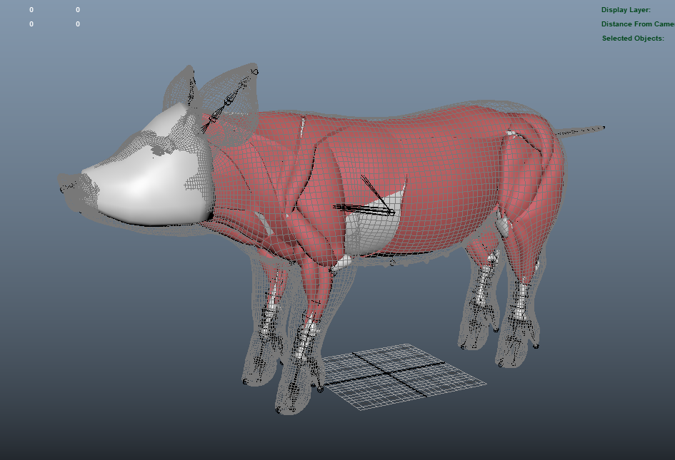 RIG-IT – rig character for animation online service RIG-IT – rig character for animation online service