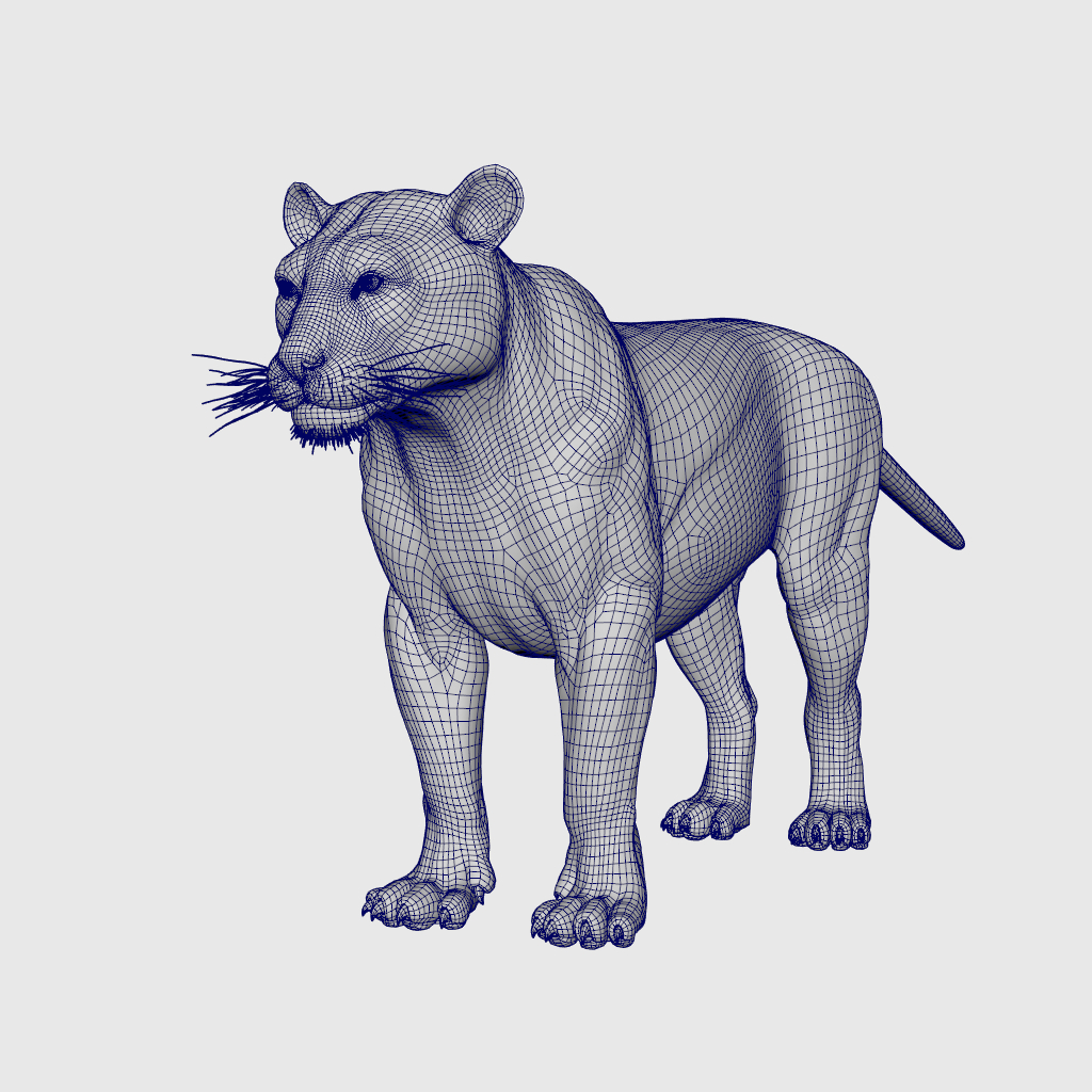 Bengal Tiger Rig