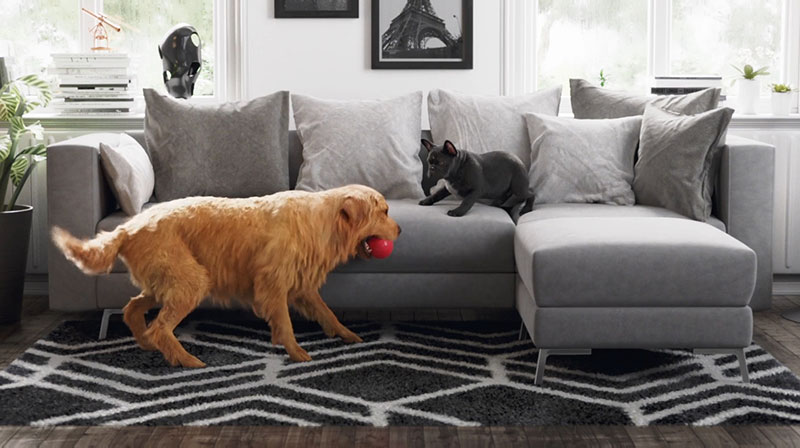 Two animated dogs are playing with ball.