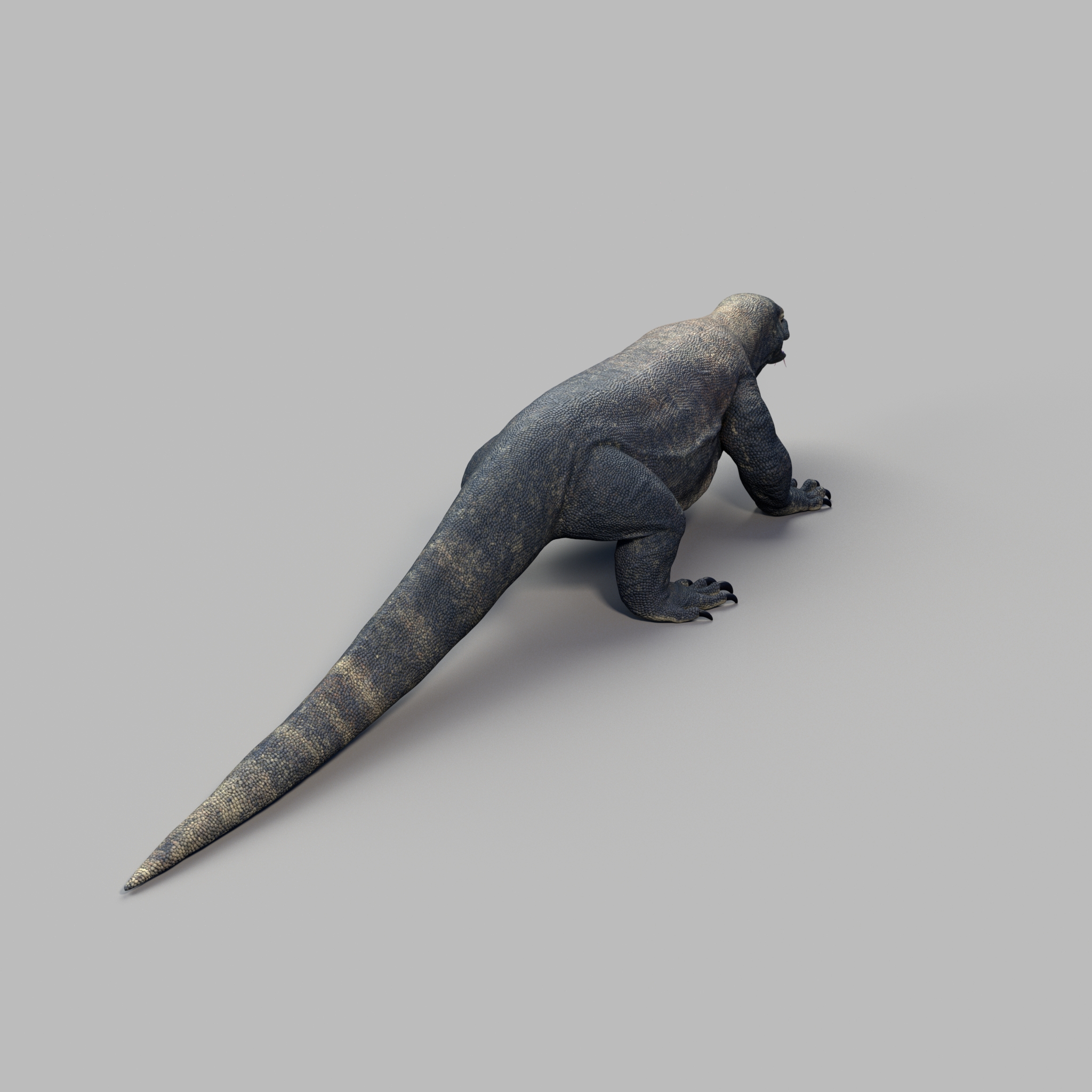 komodo dragon – RIG-IT komodo dragon – RIG-IT