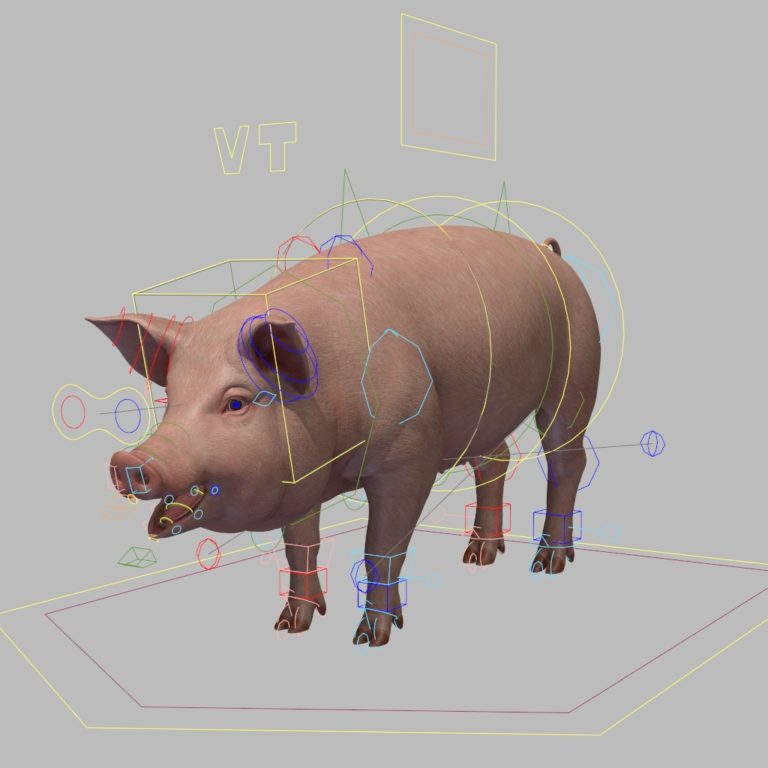 Pig Ranl pig – RIG-IT